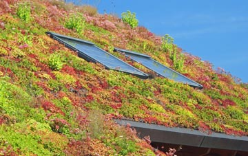 Spofforth living roof systems